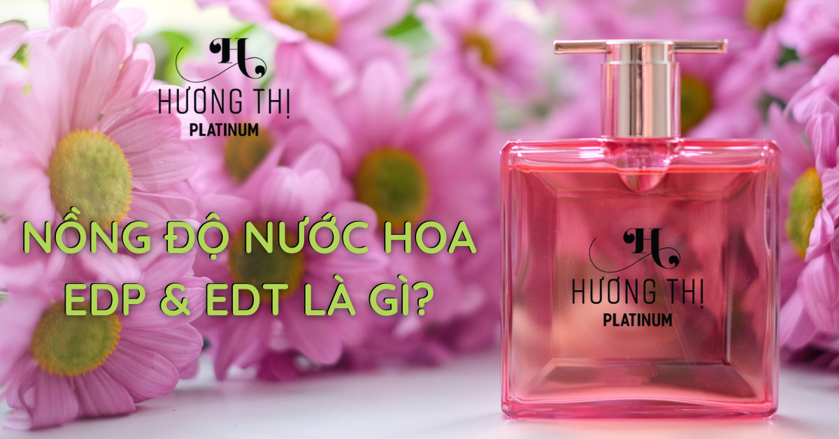 Nên chọn EDP hay EDT?