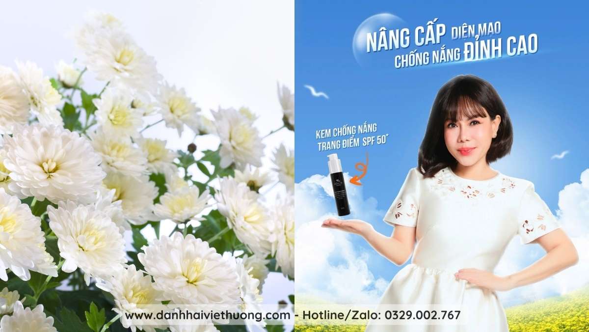 Bí Mật Từ Hoa Cúc Trắng Thành Phần Đắt Giá Trong KCN Trang Điểm Hương Thị 2