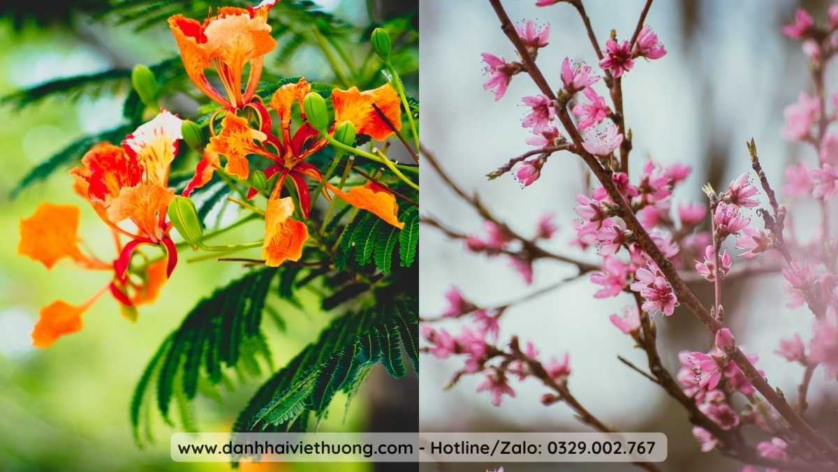 Bí Quyết Dùng KCN Trang Điểm Hương Thị Chuẩn Theo Từng Mùa Ở Việt Nam 2