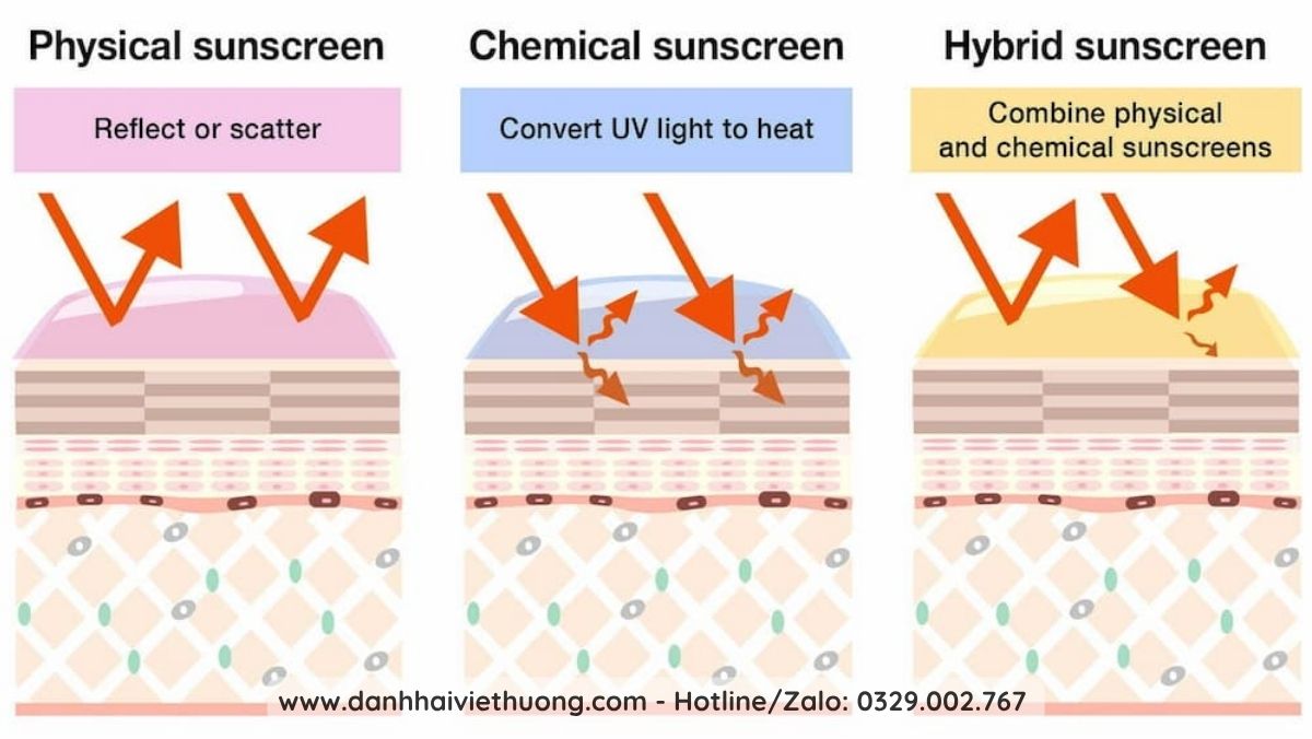 Kem Chống Nắng Vật Lý Lai Hóa Học có thực sự tốt 2