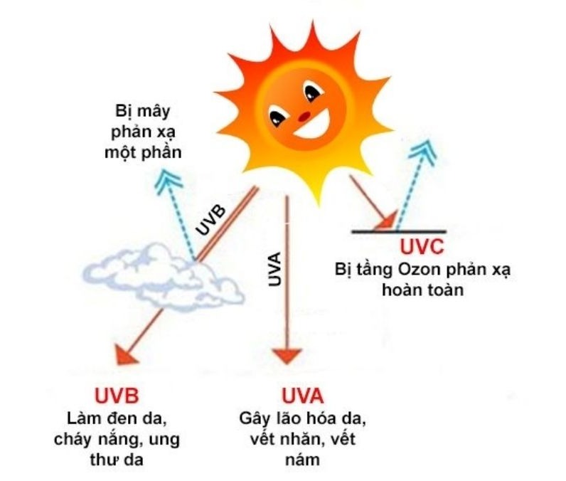 Không Chỉ Chống Cháy Nắng 7 Tác Dụng Vàng Của Kem Chống Nắng Bạn Cần Biết 2